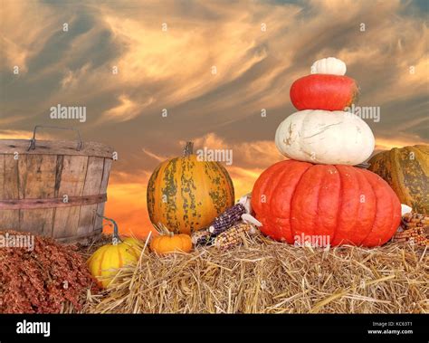 autumn pumpkins on hay bale with bushel basket and sunset sky ...