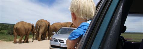 Riksja Kids | Afrika, Kinderen, Reisorganisatie