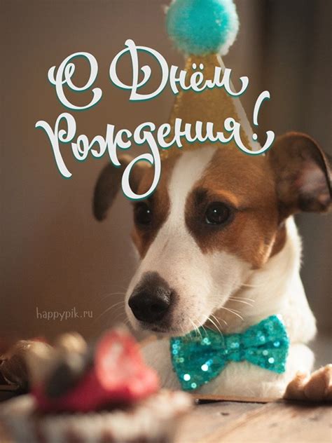 Открытки с днем рождения с собакой. 🐶🐾 40 (41 шт.)
