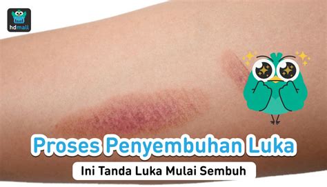 tahapan  proses penyembuhan luka hdmall
