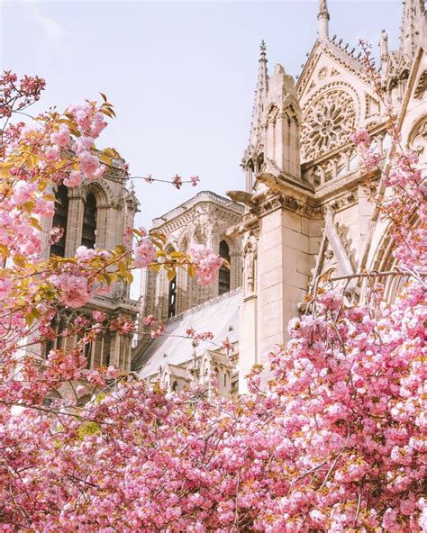 Épinglé par Susan Burchard sur All Things Paris... | Les plus belles ...