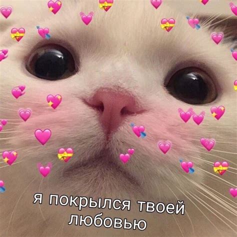 Люблю тебя