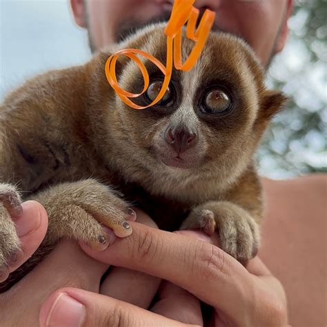 National Geographic Фотоконкурс 2024