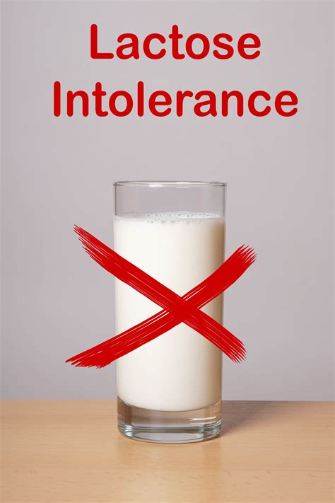 Lactose Intolerance Condition Center Information and Latest News | thirdAGE