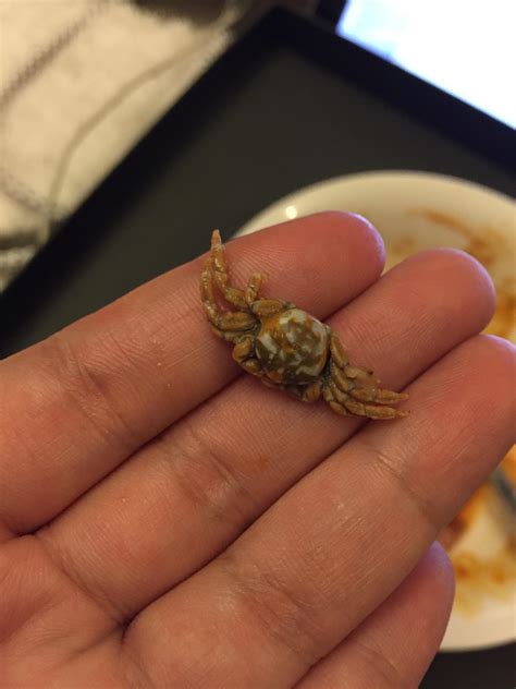 The mussel I ate caught a tiny crab : r/mildlyinteresting