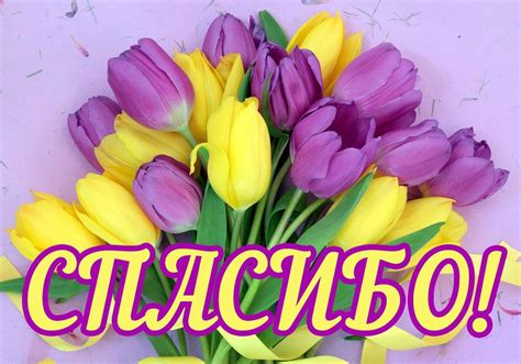 Открытки открытки с надписями спасибо