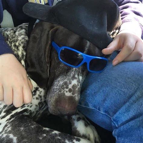 My dog? Or Tyler the creator? You decide : r/redditgetsdrawn