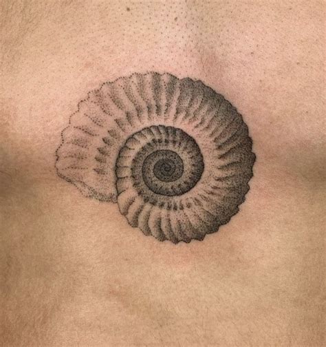 spiral shell tattoo artofit