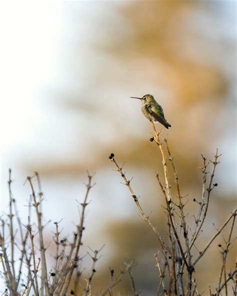 Anna+Funmi+слив+видео Photos, Download The BEST Free Anna+Funmi+слив