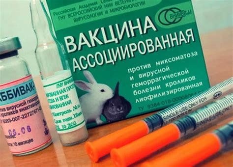 Вакцина для кроликов от пастереллеза, миксоматоза и ВГБК
