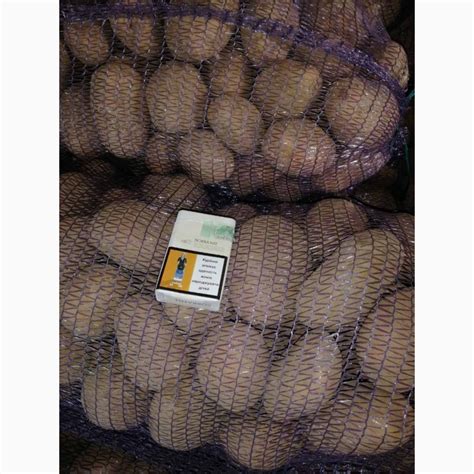 Продам картофель желтый и красный, купить картофель желтый и красный ...