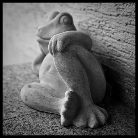 Froschmann | Sebastian | Flickr