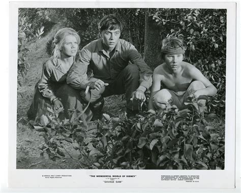 Savage Sam-8x10-Still-Tommy Kirk-Kevin Corcoran-Family-Disney-VG: Good