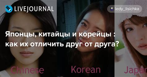 Японцы, китайцы и корейцы : как их отличить друг от друга?: ledy ...