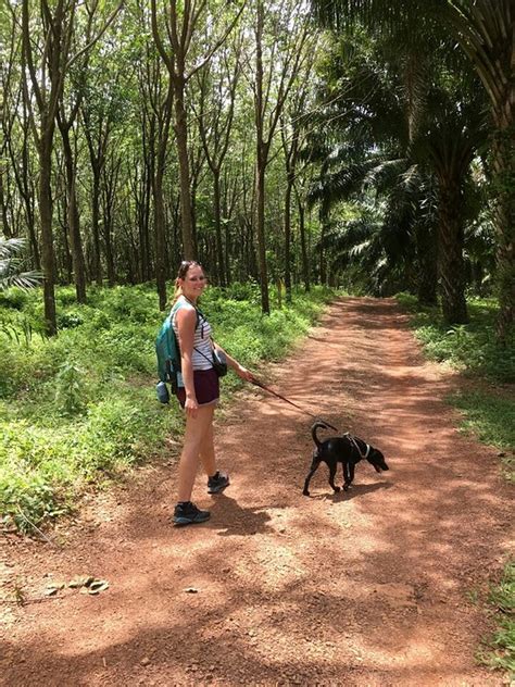 Koh Lanta en Khao Sok National Park | Reisverhaal | Sanne van Vliet’s ...