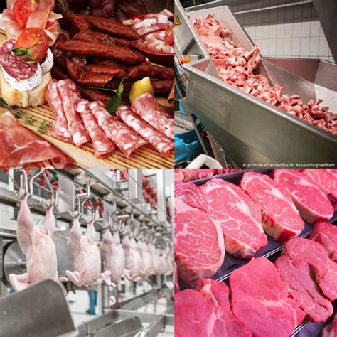 Preservation of Meat by Drying, Smoking, Chilling, Salting, Irradiation