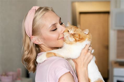 Какого цвета коты-лекари, какие защищают от сглаза: Значение окраса ...