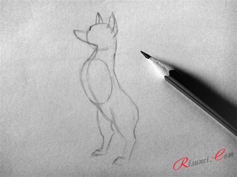 Учимся рисовать собаку 🖌 Рисунки карандашом поэтапно