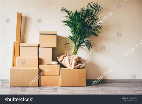 packing   house images stock  vectors shutterstock