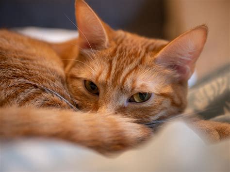 One of the first pictures I managed to get with my new 25mm f/1.7. The