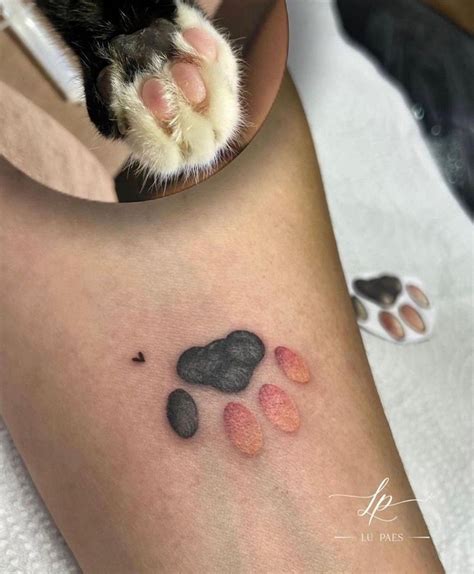 Patas De Gato Tatuagem