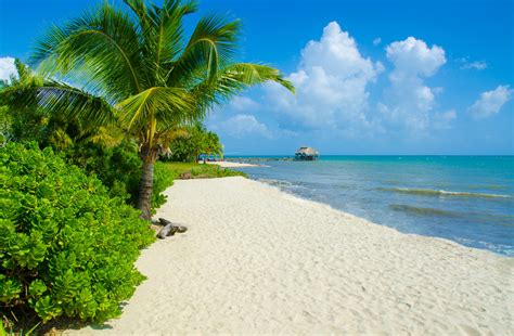 5 Amazing Day Trips You Can Take from Placencia