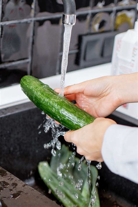 The Best Way To Store Cucumbers at Jamie Gibb blog
