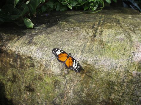 Jennifer Hill Art Gallery... - Jennifer Hill Art Gallery