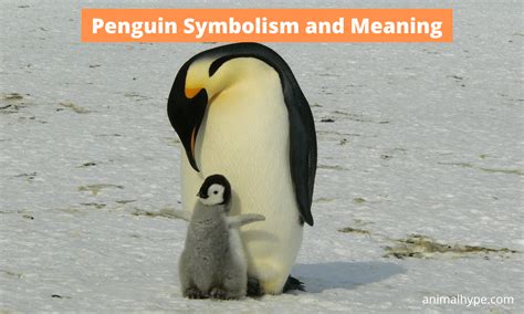 Penguin Symbolism and Meaning (Totem, Spirit and Omens) - Animal Hype