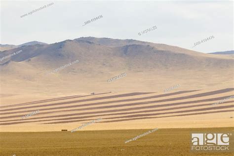 Asia, Mongolia, Central region, Steppe transformed into crops, Stock ...