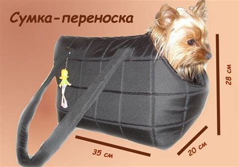 Обзор переносок для собак и подробная инструкция по их изготовлению