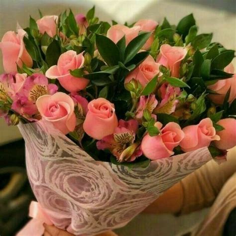 Pin by jak M on hermosas flores | Beautiful rose flowers, Flower ...