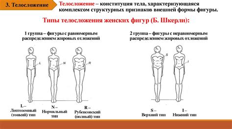 Морфологические признаки фигуры для конструирования одежды. Внешняя ...