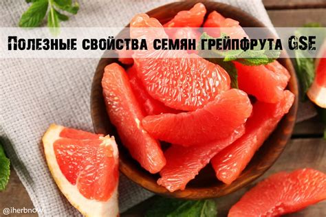 Отзыв по полезным свойствам GSE - экстракт семян грейпфрута