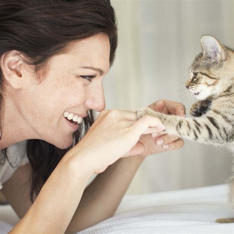 dog breeds good with cats 8