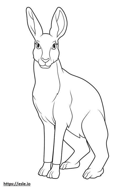 Jackrabbit cute coloring page