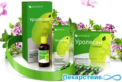 Цистит: лечение препаратом Уролесан - инструкция по применению
