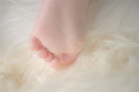 Босые ноги милого Newborn младенца в теплом белом одеяле Детство Малые ...