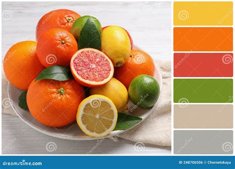 color palette   ripe citrus fruits  white wooden table