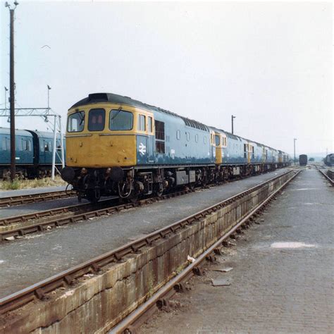 D6541, D6530, D6503, D6524, D6554, D6523, D6552 standing a… | Flickr