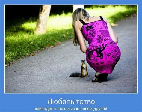 Картинки мотиваторы (99+ фото)