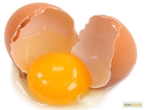 Продам домашні яйця, купити домашні яйця — Agro-Ukraine