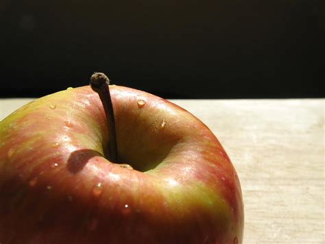 apple stem photograph  kim pascu pixels