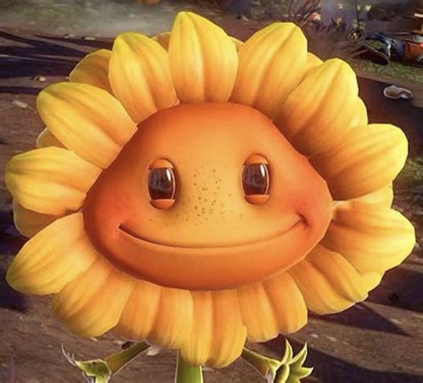 pvz sunflower pfp