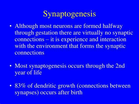 PPT - Nervous System Development PowerPoint Presentation, free download ...