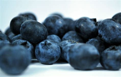 Nordic Wild Berries - Food Ingredients Expert
