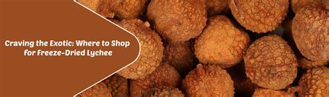 Where To Buy Freeze-Dried Lychee | Freeze Dried Guide