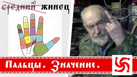 Пальцы! Русское название пальцев! - YouTube