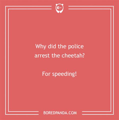 149 Police Jokes That Might Arrest You With Laughter | Bored Panda