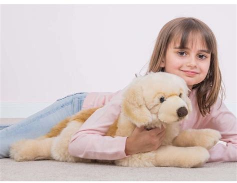 teddy the golden retriever net worth